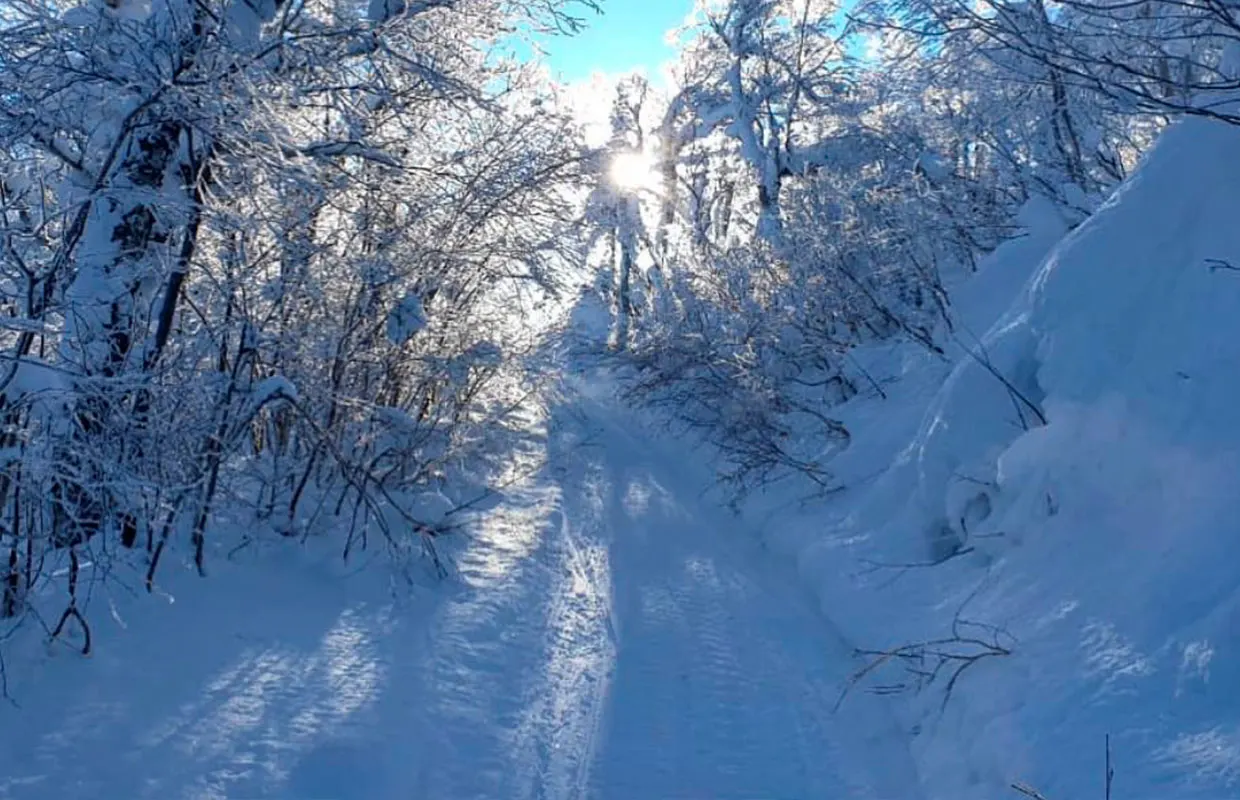 Winter snowmobile trip to Mud Volcano