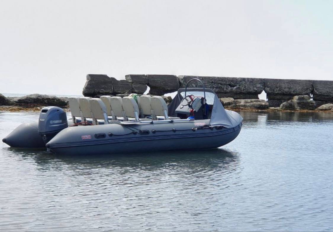 Our key advantage is to deliver tourists for the Cape Aniva excursion in comfort