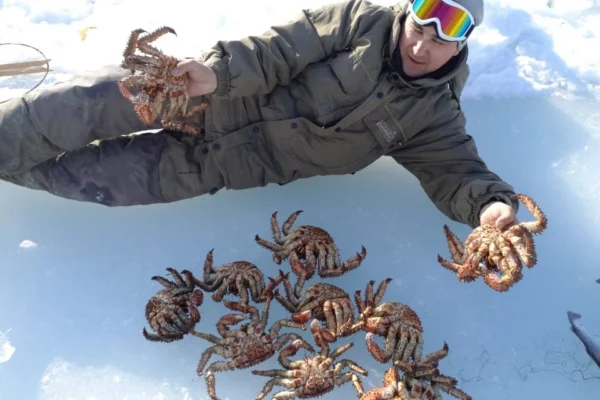 Crabalka on Sakhalin