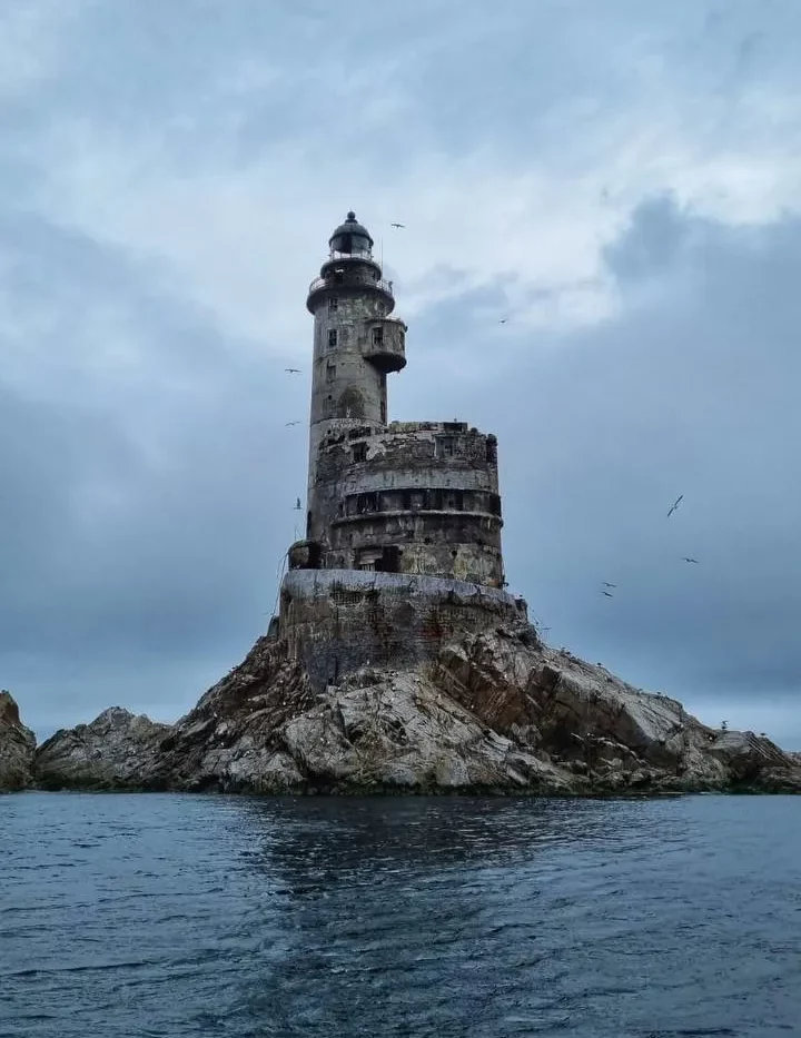 Excursion to Aniva Lighthouse
