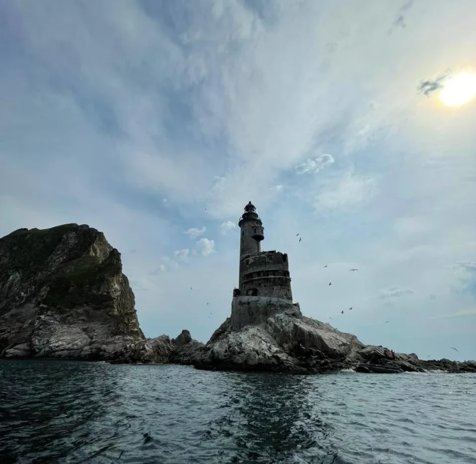 Excursion to Cape Aniva