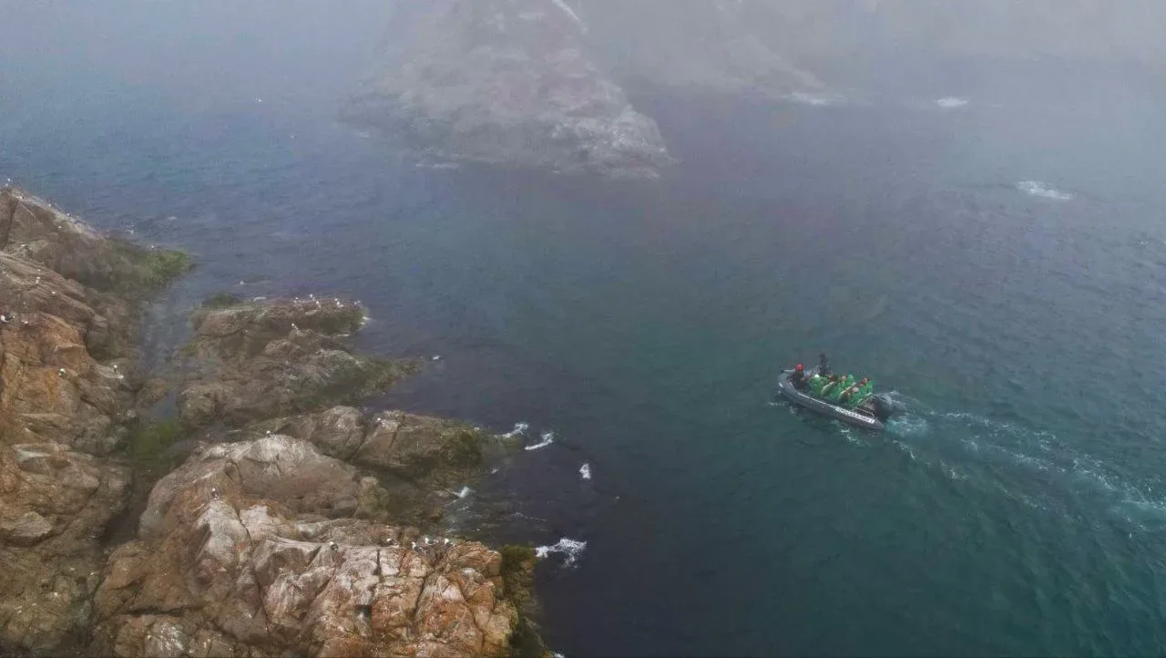 Excursion to Cape Aniva