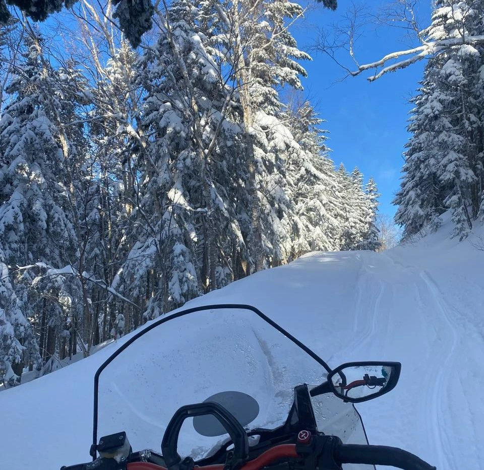 Four-hour snowmobile rides through the winter forest (Ozhidaevo)
