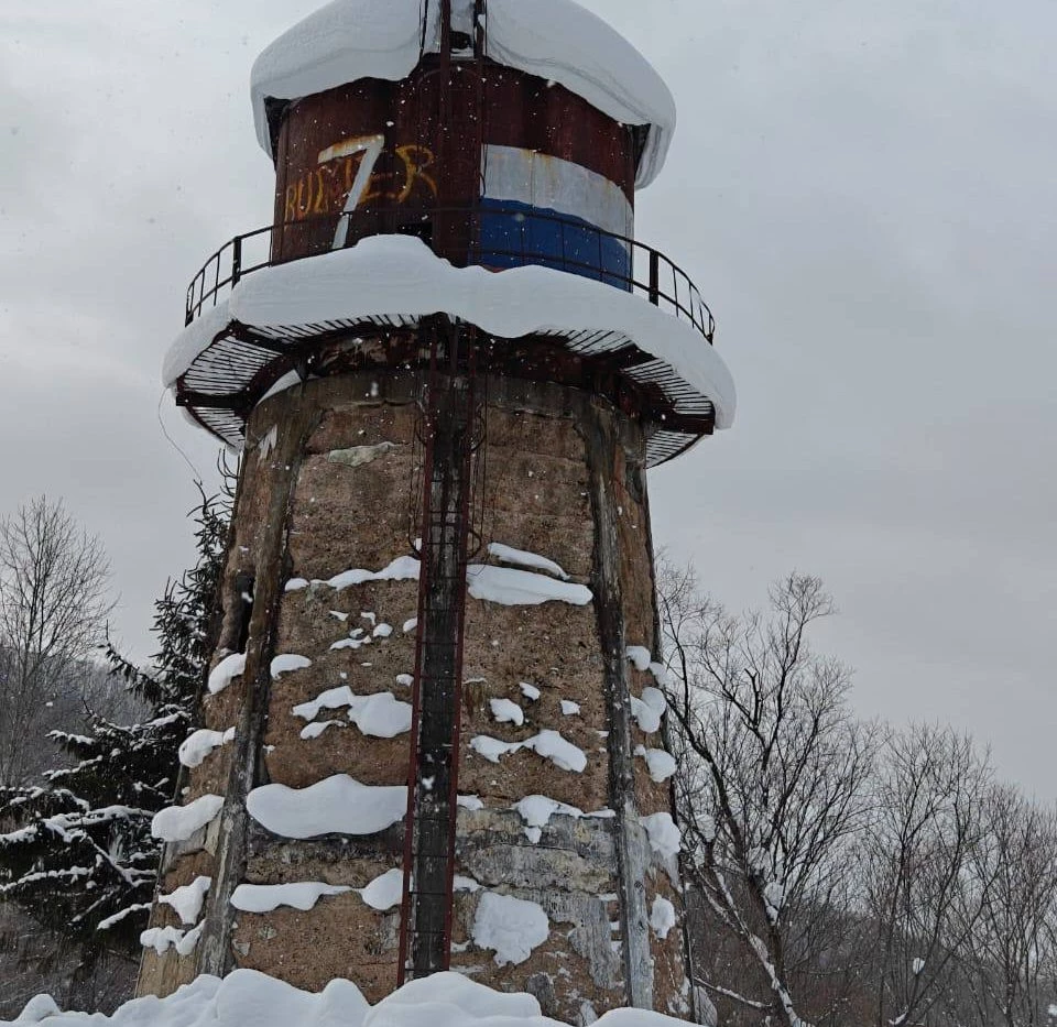 Four-hour snowmobile rides through the winter forest (Ozhidaevo)